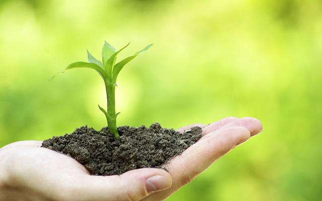 高精度土壤養(yǎng)分檢測儀 高精度土壤養(yǎng)分檢測儀