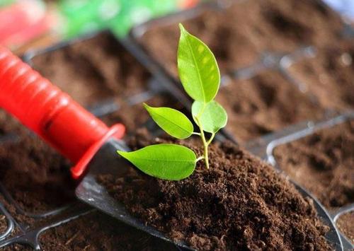 土壤養(yǎng)分檢測儀 土壤養(yǎng)分檢測儀