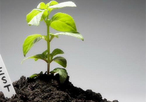 土壤肥料養(yǎng)分檢測儀 土壤肥料養(yǎng)分檢測儀