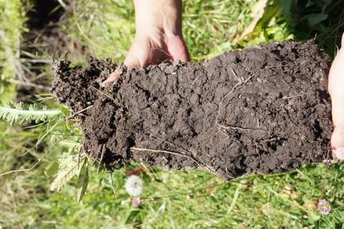 肥料養(yǎng)分檢測儀 肥料養(yǎng)分檢測儀